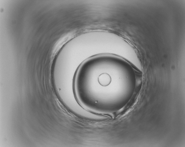 X0000059850293200511111818