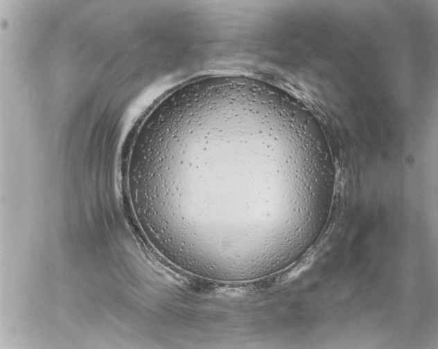 X0000059850294200511111818