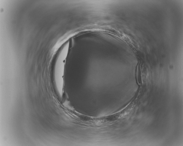 X0000059850295200511111818