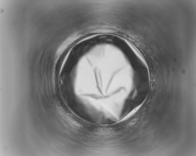 X0000059850296200511111818