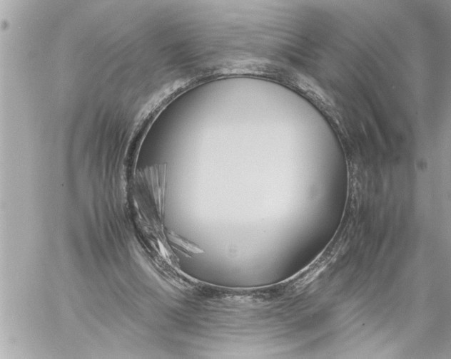 X0000059850298200511111818