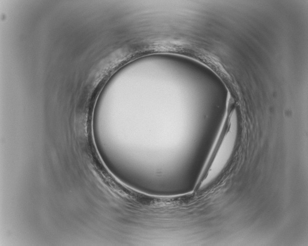 X0000059850299200511111818