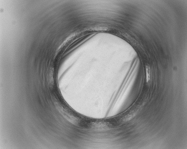 X0000059850300200511111818