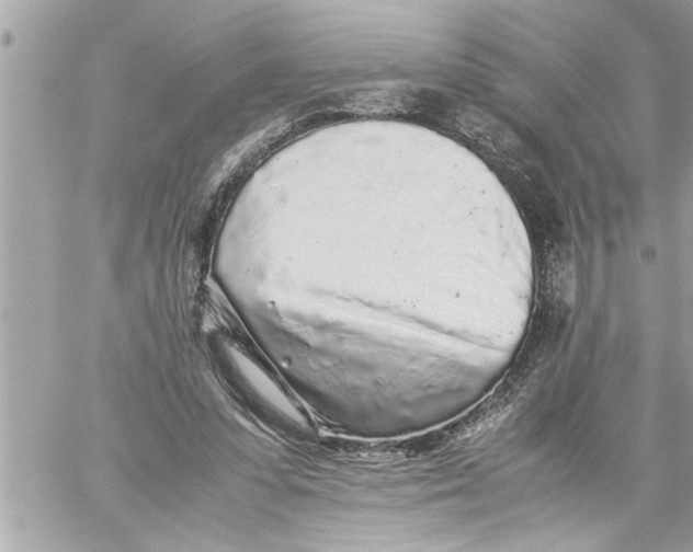 X0000059850303200511111818