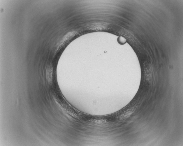 X0000059850304200511111818