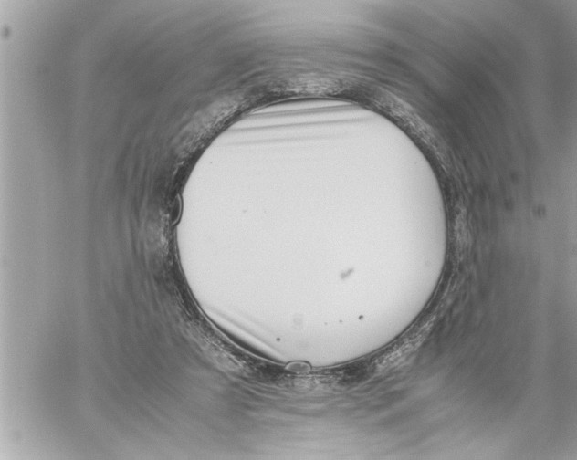 X0000059850305200511111818