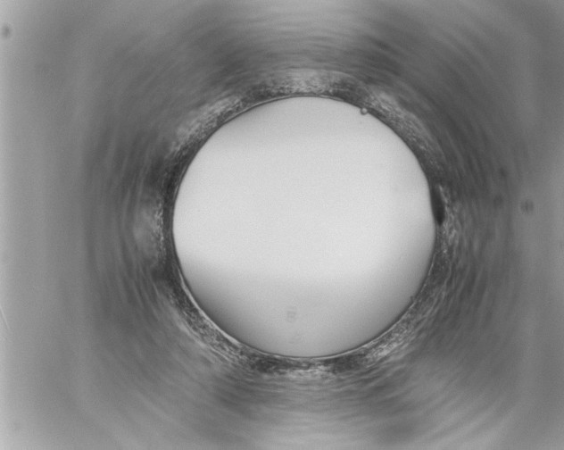 X0000059850306200511111818