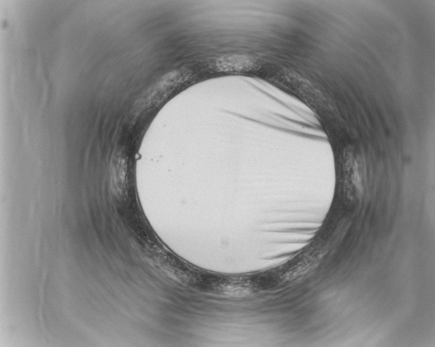 X0000059850308200511111818