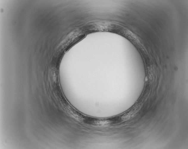 X0000059850313200511111818