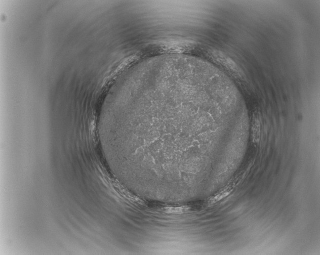 X0000059850314200511111818