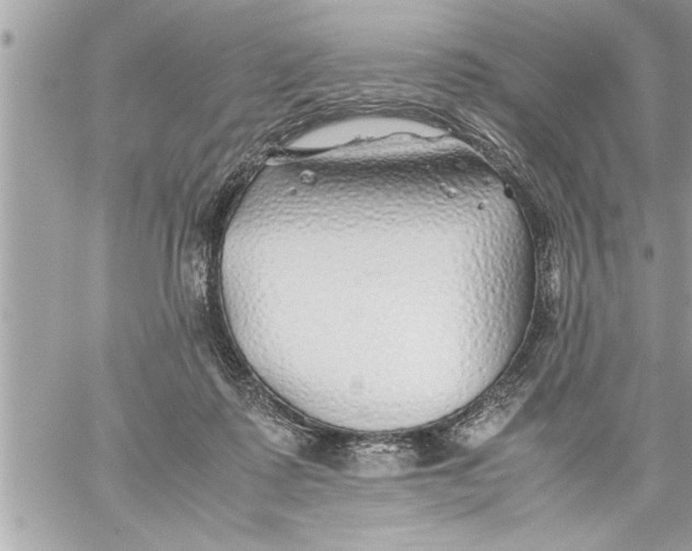 X0000059850315200511111818