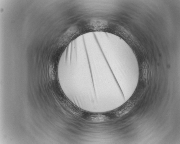 X0000059850316200511111818