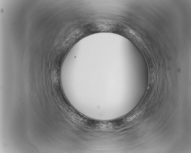 X0000059850317200511111818