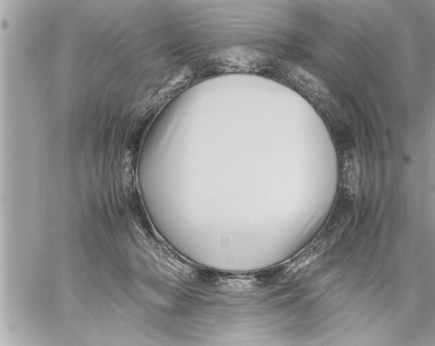 X0000059850318200511111818