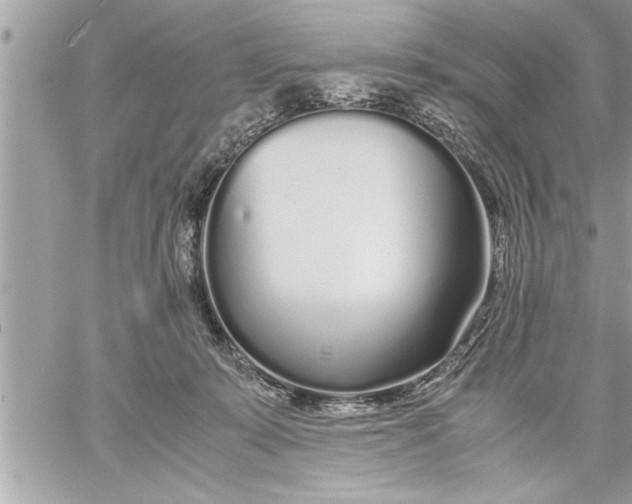 X0000059850319200511111818