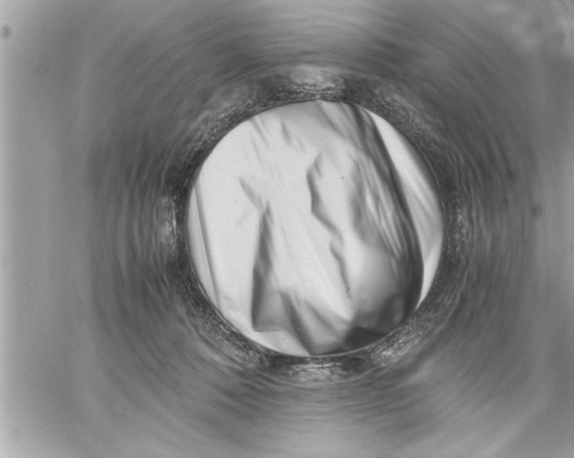 X0000059850320200511111818