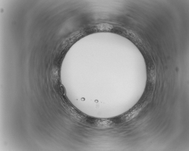 X0000059850321200511111818