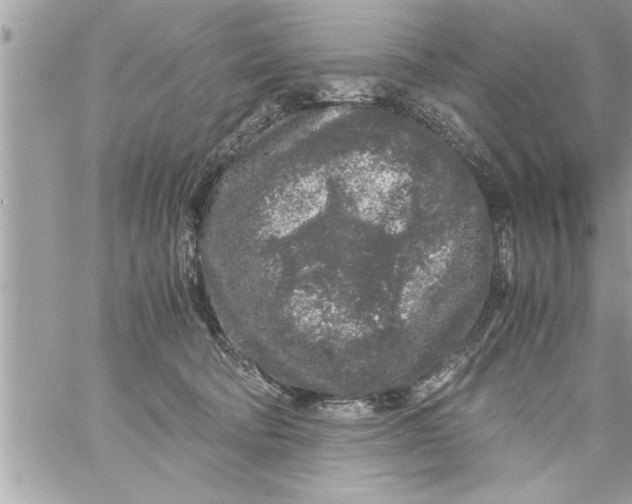 X0000059850322200511111818