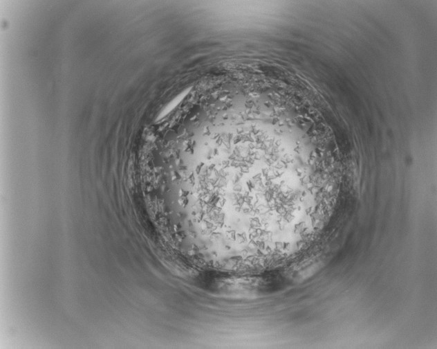 X0000059850323200511111818