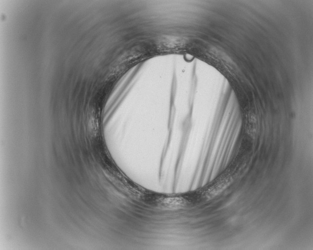 X0000059850324200511111818