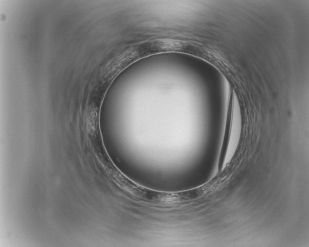 X0000059850325200511111818