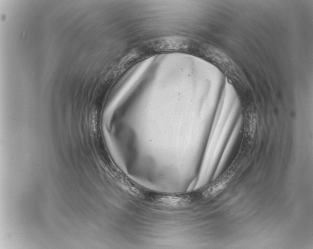 X0000059850326200511111818