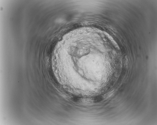 X0000059850327200511111818