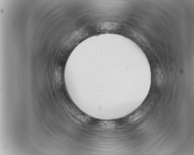 X0000059850328200511111818