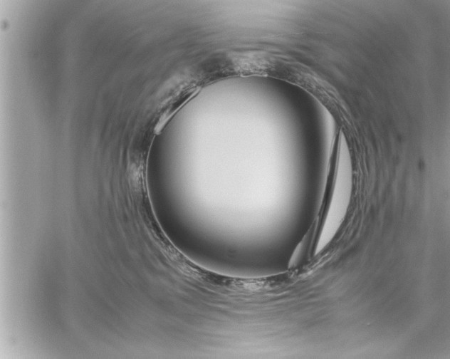 X0000059850329200511111818