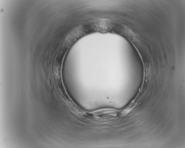 X0000059850331200511111818