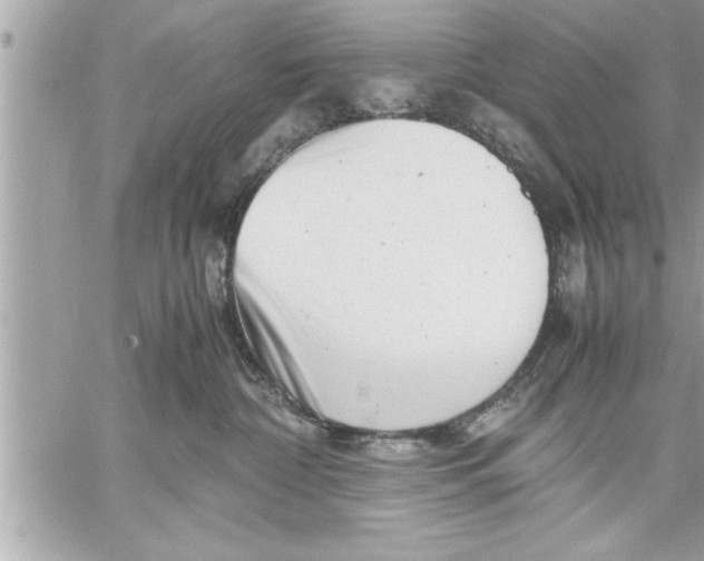 X0000059850332200511111818