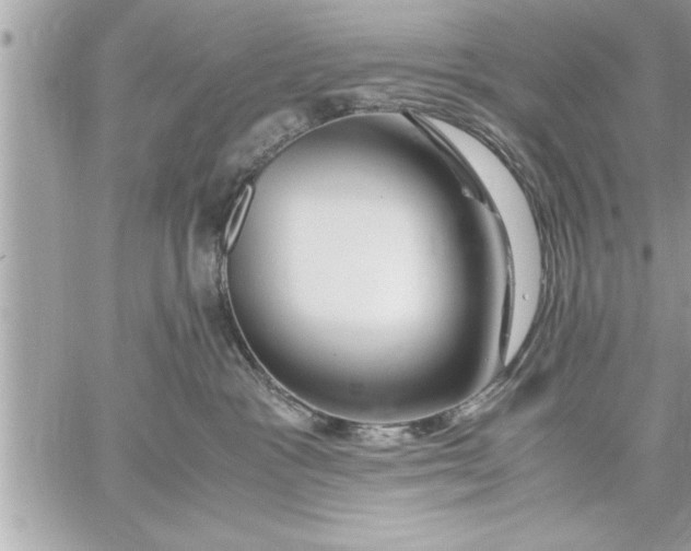 X0000059850333200511111817