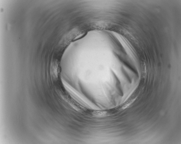 X0000059850334200511111817