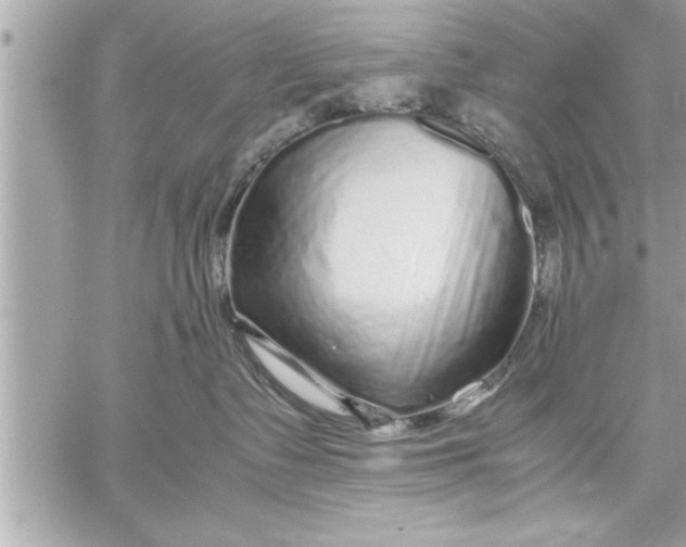 X0000059850335200511111817