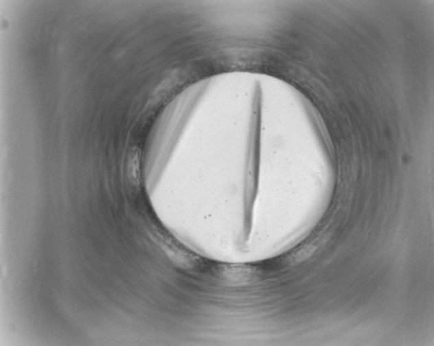 X0000059850336200511111817