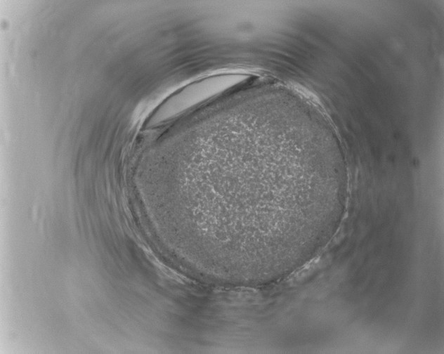 X0000059850337200511111817