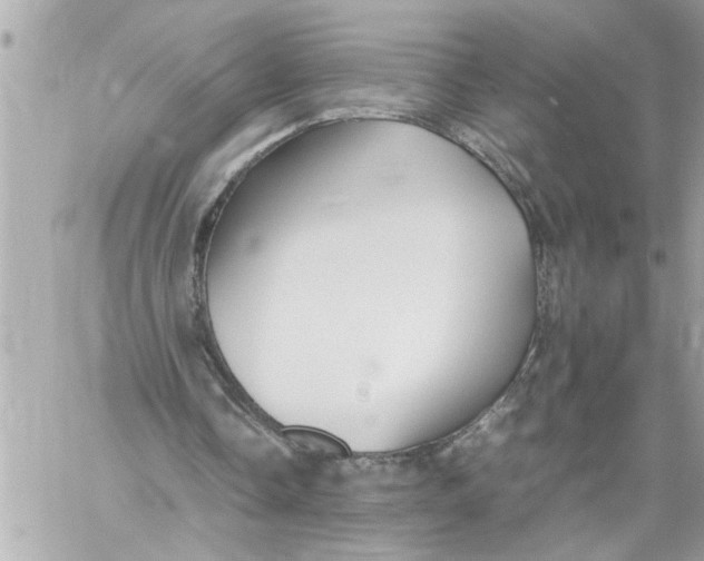 X0000059850338200511111817