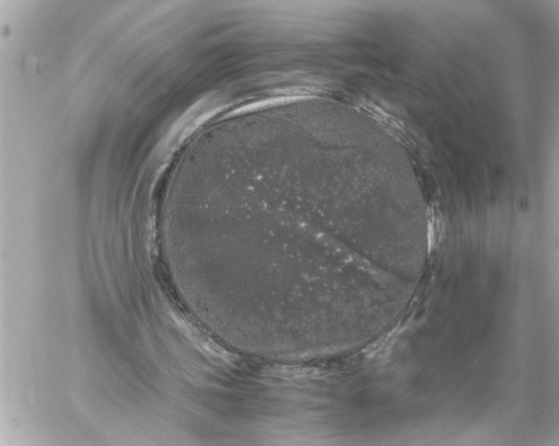 X0000059850339200511111817