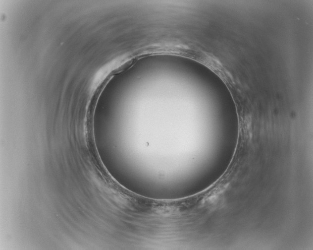 X0000059850340200511111817