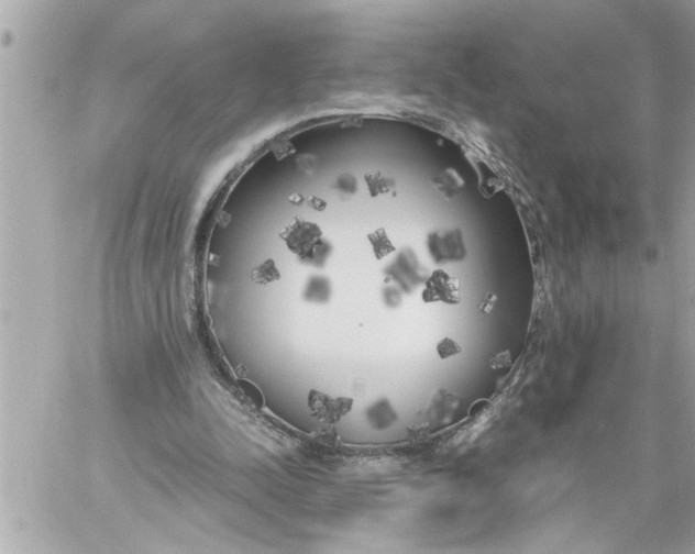 X0000059850342200511111817