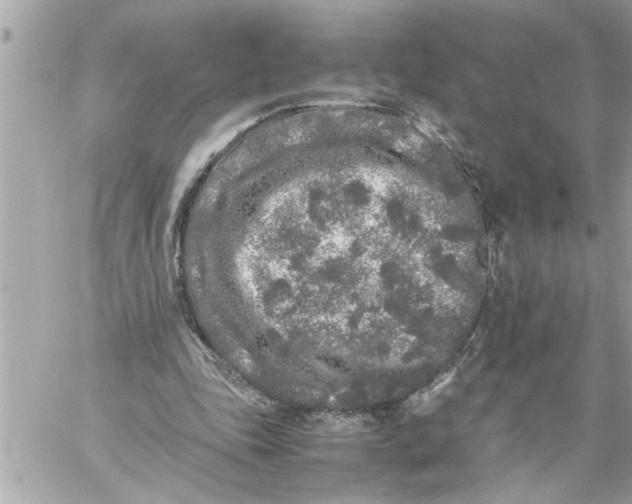 X0000059850343200511111817