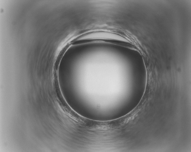 X0000059850344200511111817