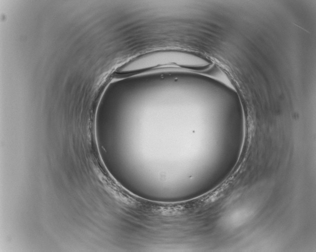 X0000059850345200511111817