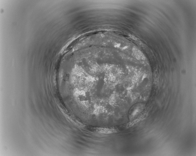 X0000059850347200511111817