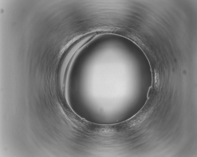 X0000059850348200511111817