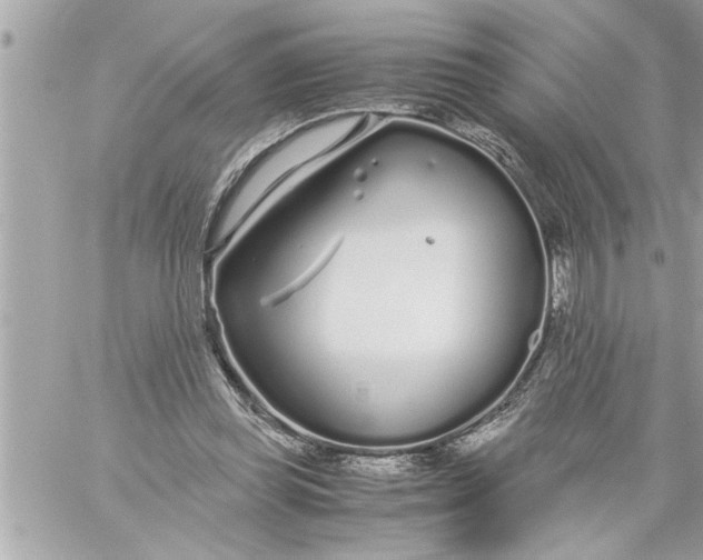 X0000059850349200511111817