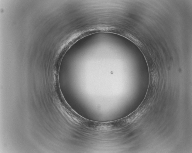 X0000059850350200511111817