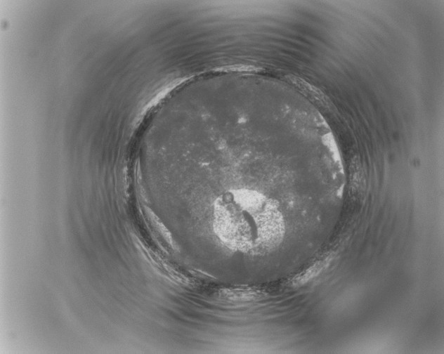 X0000059850351200511111817