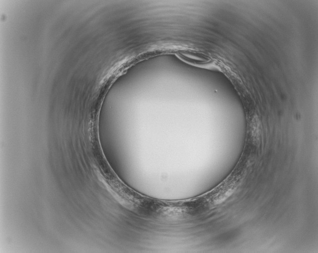 X0000059850352200511111817