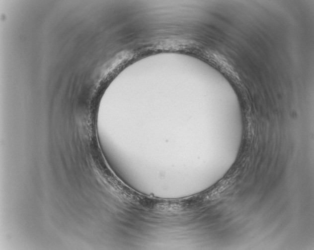 X0000059850354200511111817